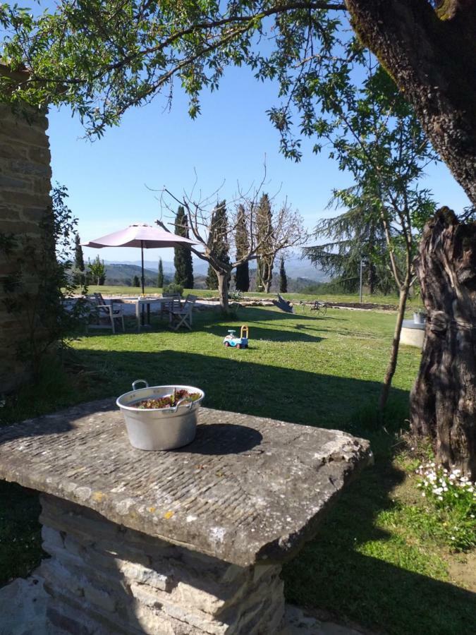 Le Terre Di Caprano * Citta di Castello