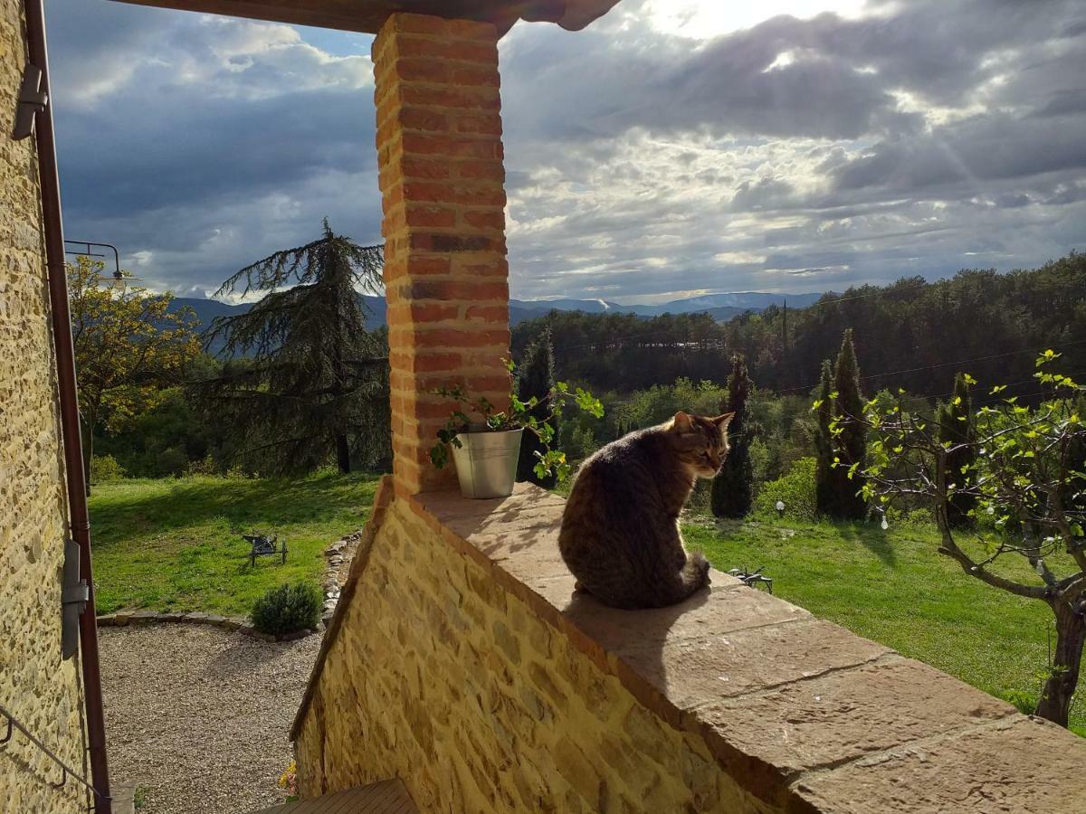 Guest house Le Terre Di Caprano Citta di Castello